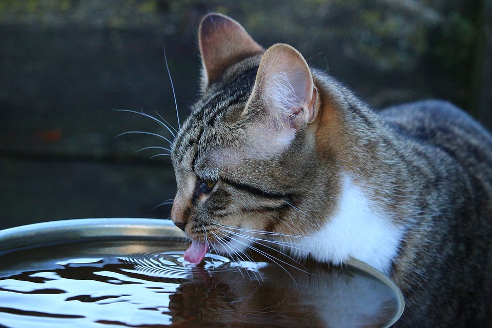喝健康水